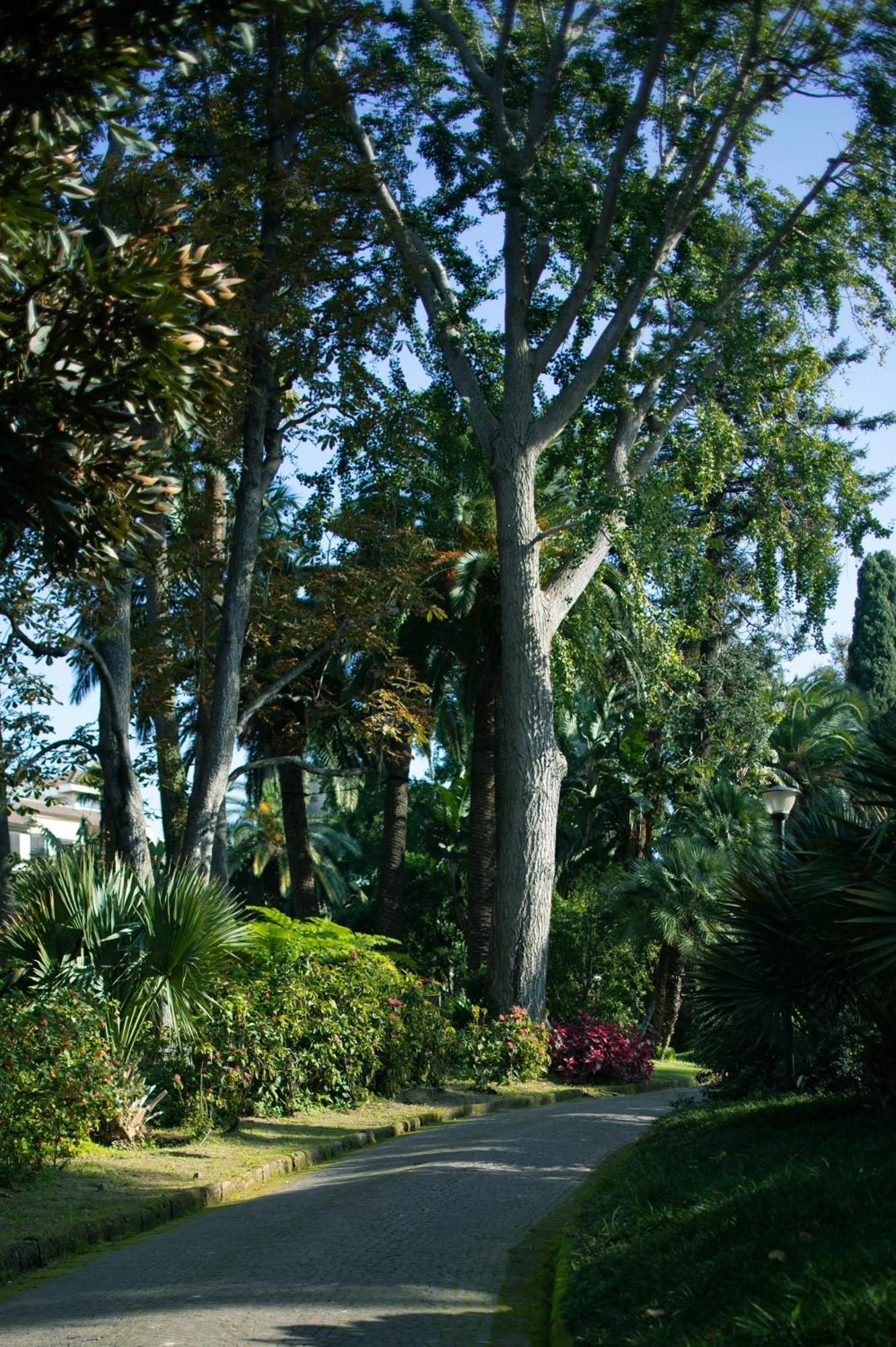 Parco Dei Principi Hotell Sorrento Eksteriør bilde